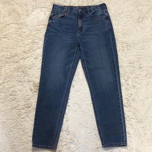 American Eagle Mom Jean 4 Short